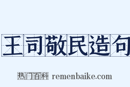 王司敬民造句是什么意思的图片